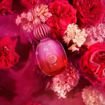 Picture of AB THE ICON HER SUPREME 50ML EDP